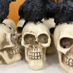FL-Police-Investigate-Human-Skull-Found-In-Antique-Store-1-scaled-e1699309530196.jpg