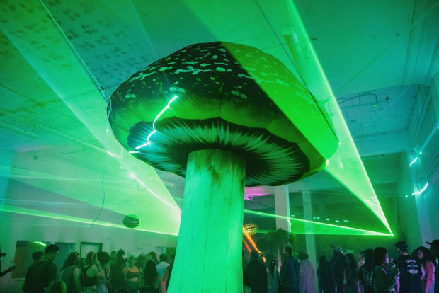 giant-mushroom.jpg